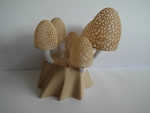  Magic mushrooms - a lighted decoration  3d model for 3d printers