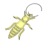  Queen bee jewelry earring, necklace  3d model for 3d printers