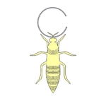  Queen bee jewelry earring, necklace  3d model for 3d printers