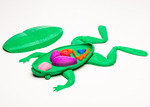  The frog  3d model for 3d printers
