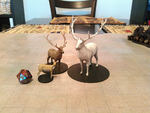  Deer, elk, and spirit elk  3d model for 3d printers