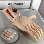  Raptor reloaded by e-nable  3d model for 3d printers