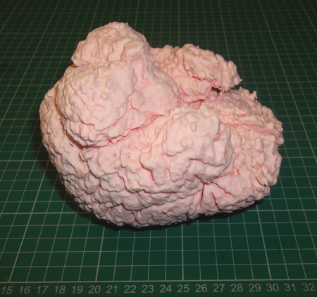  Human brain  3d model for 3d printers