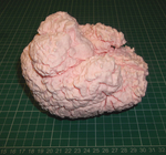 Modelo 3d de El cerebro humano para impresoras 3d