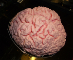  Human brain  3d model for 3d printers