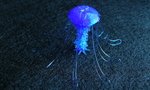  Jellyfish drooloops customizable  3d model for 3d printers