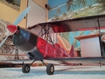  Ultimate biplane 10-300s  3d model for 3d printers