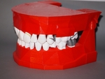 Modelo 3d de Dental modelo de demostración / modèle de démonstration dentaire para impresoras 3d