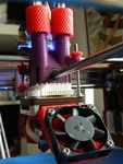 Modelo 3d de Doble cabezal de impresión para impresoras 3d