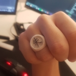 Modelo 3d de Anillo de itachi para impresoras 3d