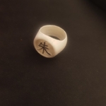 Modelo 3d de Anillo de itachi para impresoras 3d