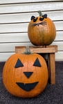  Mr. pumpkin head/jack o lantern/scary pumpkin face/kids halloween craft  3d model for 3d printers