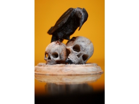 Raven with Skulls