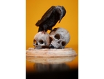  Raven with skulls  3d model for 3d printers
