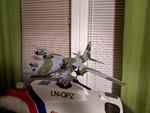  Micro c-130 hercules rc model  3d model for 3d printers