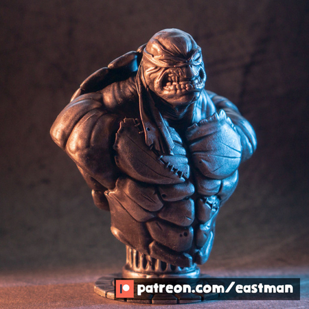 Modelo 3d de Tmnt busto (fan art)  para impresoras 3d