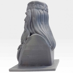   albus dumbledore bust   3d model for 3d printers