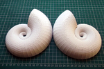 Modelo 3d de Completa concha de nautilus (proyecto shellter) para impresoras 3d