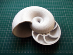  Full nautilus shell (project shellter)  3d model for 3d printers