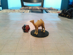  Camel for your tabletop game!  3d model for 3d printers