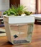  Desktop aquaponics system (prototype)  3d model for 3d printers