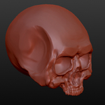 Modelo 3d de Cráneo para impresoras 3d