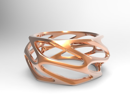 Parametric Ring