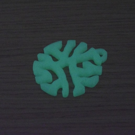  Intrepid fiber (pendant - differential line growth)  3d model for 3d printers