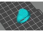  Bdsm signet ring  3d model for 3d printers