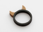  Animal ring collection - dual extrusion version  3d model for 3d printers