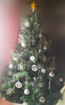  European christmas tree ornaments  3d model for 3d printers