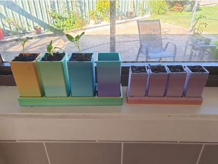 Window sill seedling grid and pots 4x1