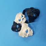 Modelo 3d de Anillo del cráneo del zombi para impresoras 3d