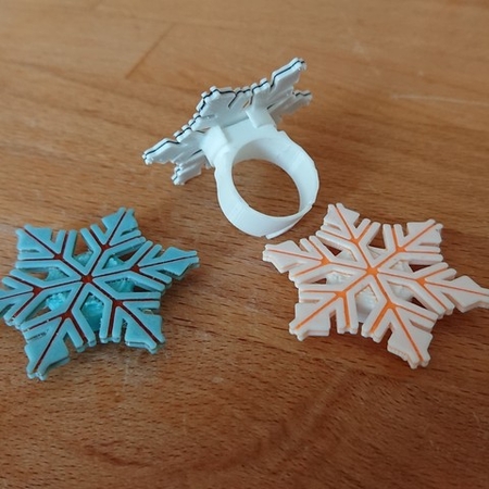 MODULAR RING