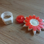  Modular ring  3d model for 3d printers