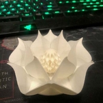  Lotus with egg  3d model for 3d printers