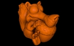  Baby scrat (easy print no support)  3d model for 3d printers