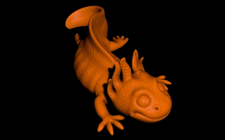  Axolotl (easy print no support)  3d model for 3d printers