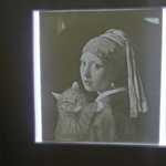 Modelo 3d de Lithophane con ikea ribba marco y de la iluminación del led para impresoras 3d