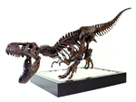 Modelo 3d de T-rex esqueleto para impresoras 3d