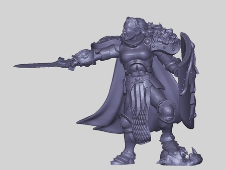  Le stormy knight  3d model for 3d printers