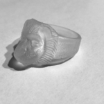  Lion rings  3d model for 3d printers