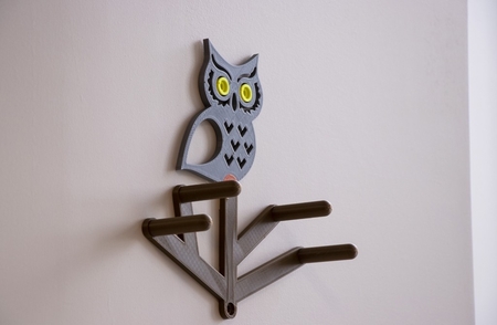 Multi-Color Owl Coat Hanger