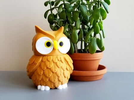 Multi-Color Owl Jar