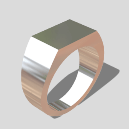  Seal type ring size 17  3d model for 3d printers