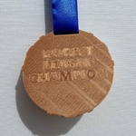  Rocket league medallion   3d model for 3d printers