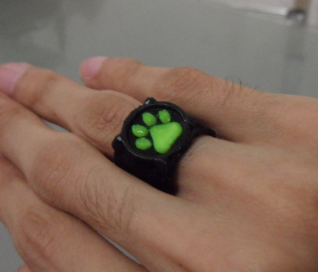  Chat noir's ring  3d model for 3d printers