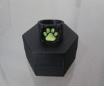 Modelo 3d de Chat noir del anillo para impresoras 3d