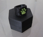 Modelo 3d de Chat noir del anillo para impresoras 3d