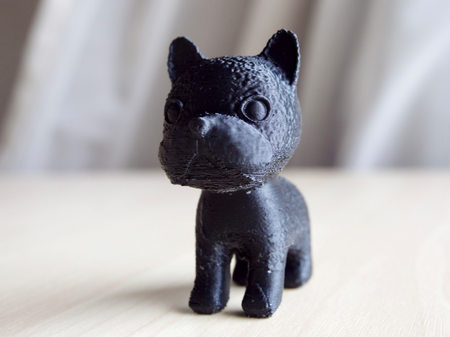 Boston terrier